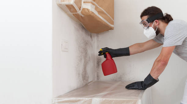 Professional Crawl Space Mold Removal technician working in Great Mills, MD